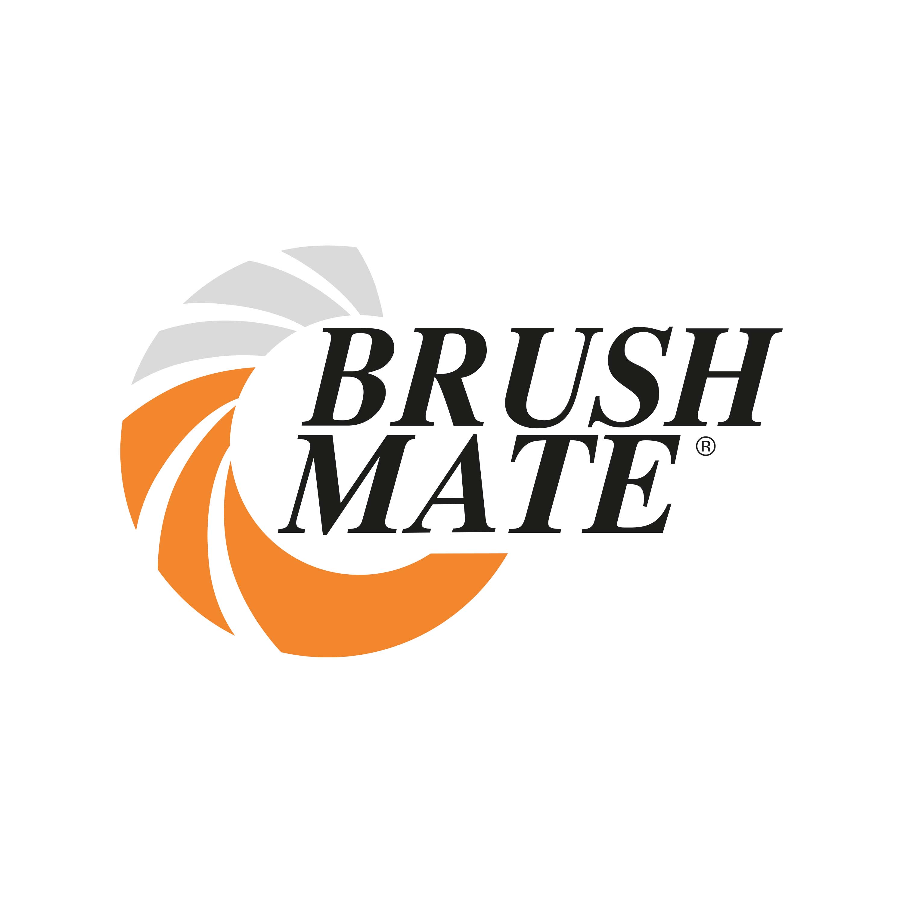 Brand_Brush Mate